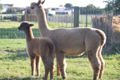 Mama-Flanders-Elara-en-haar-1